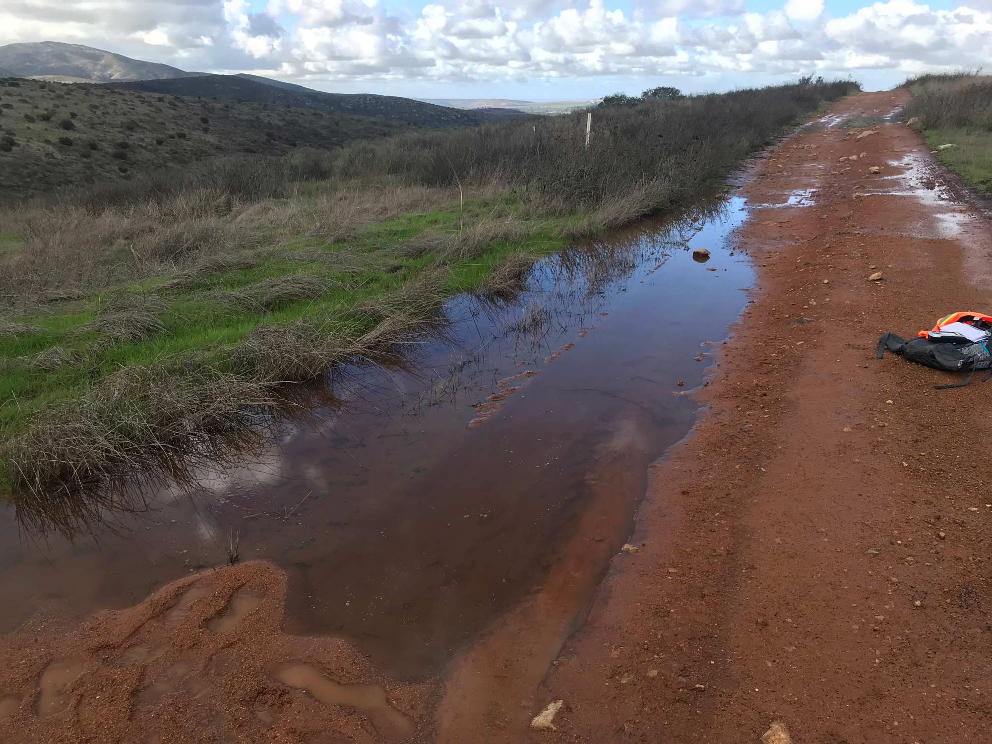 Vernal-Pool-2—Chez