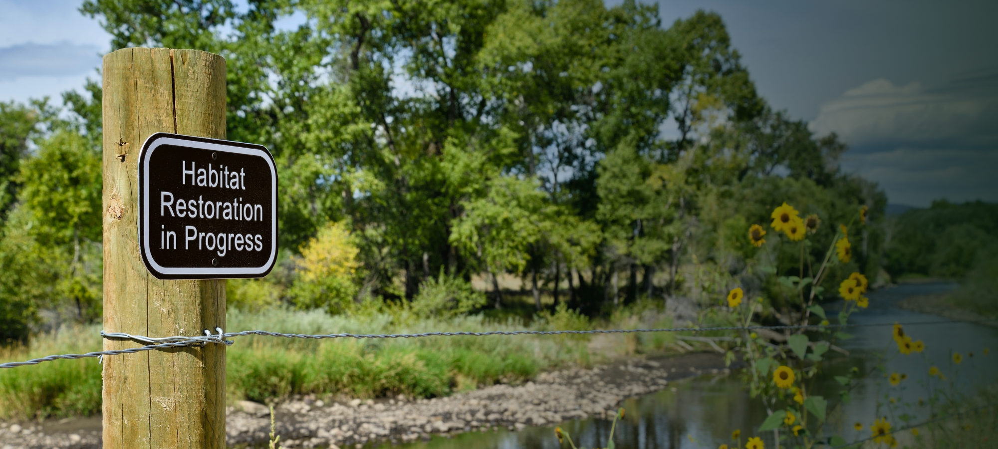 Habitat Restoration Services