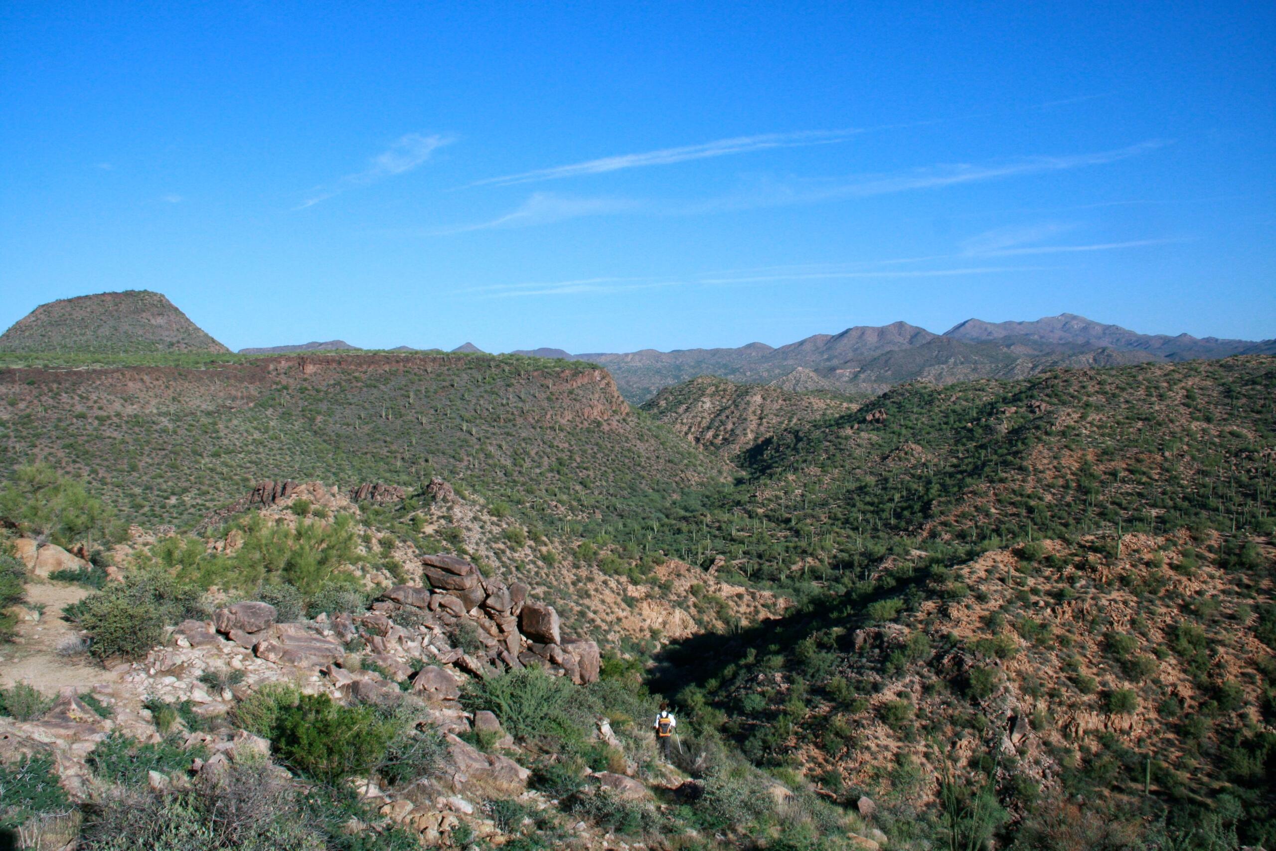 Arizona Surveys Arizona Surveys