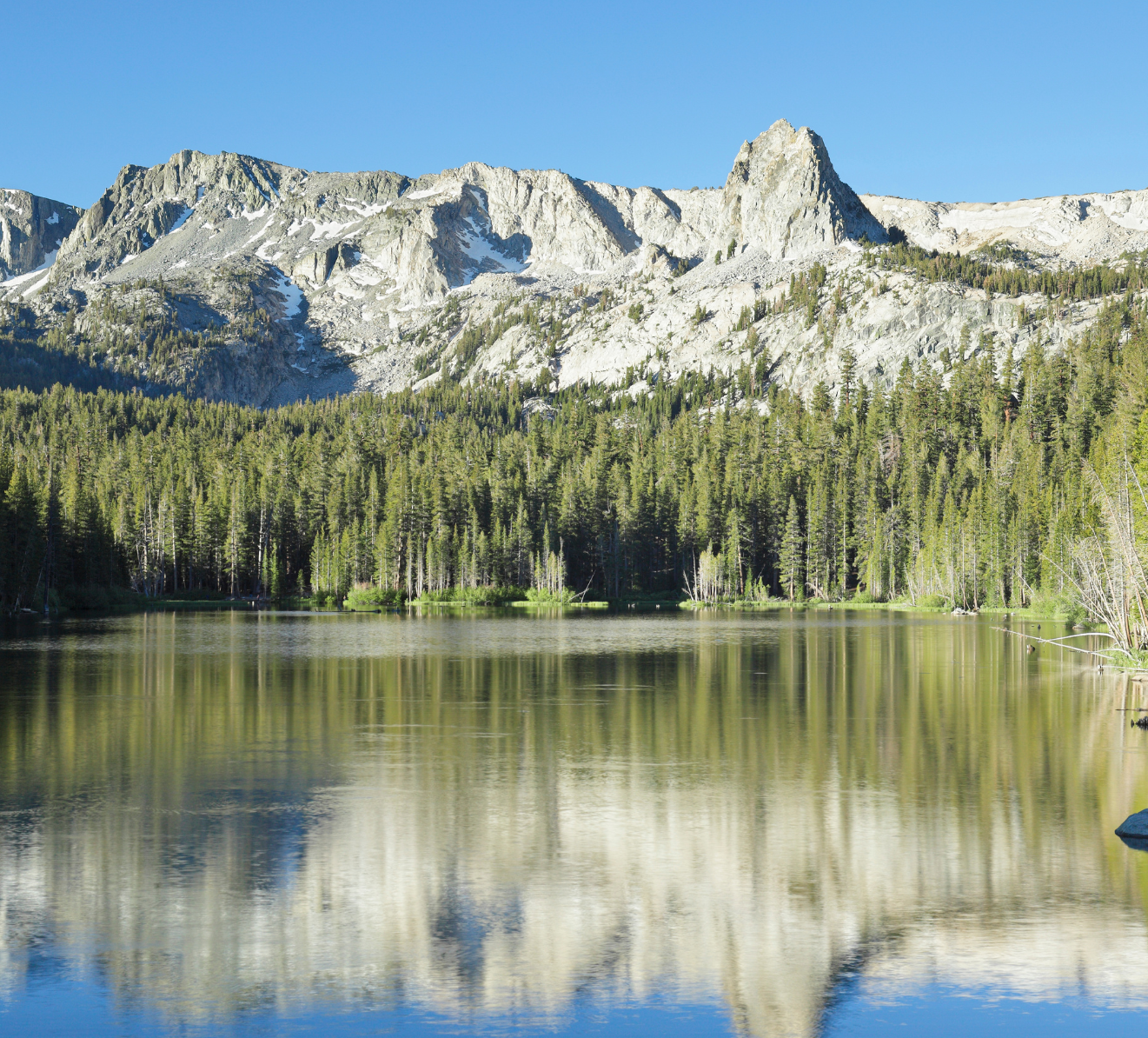STANISLAUS NF cropped