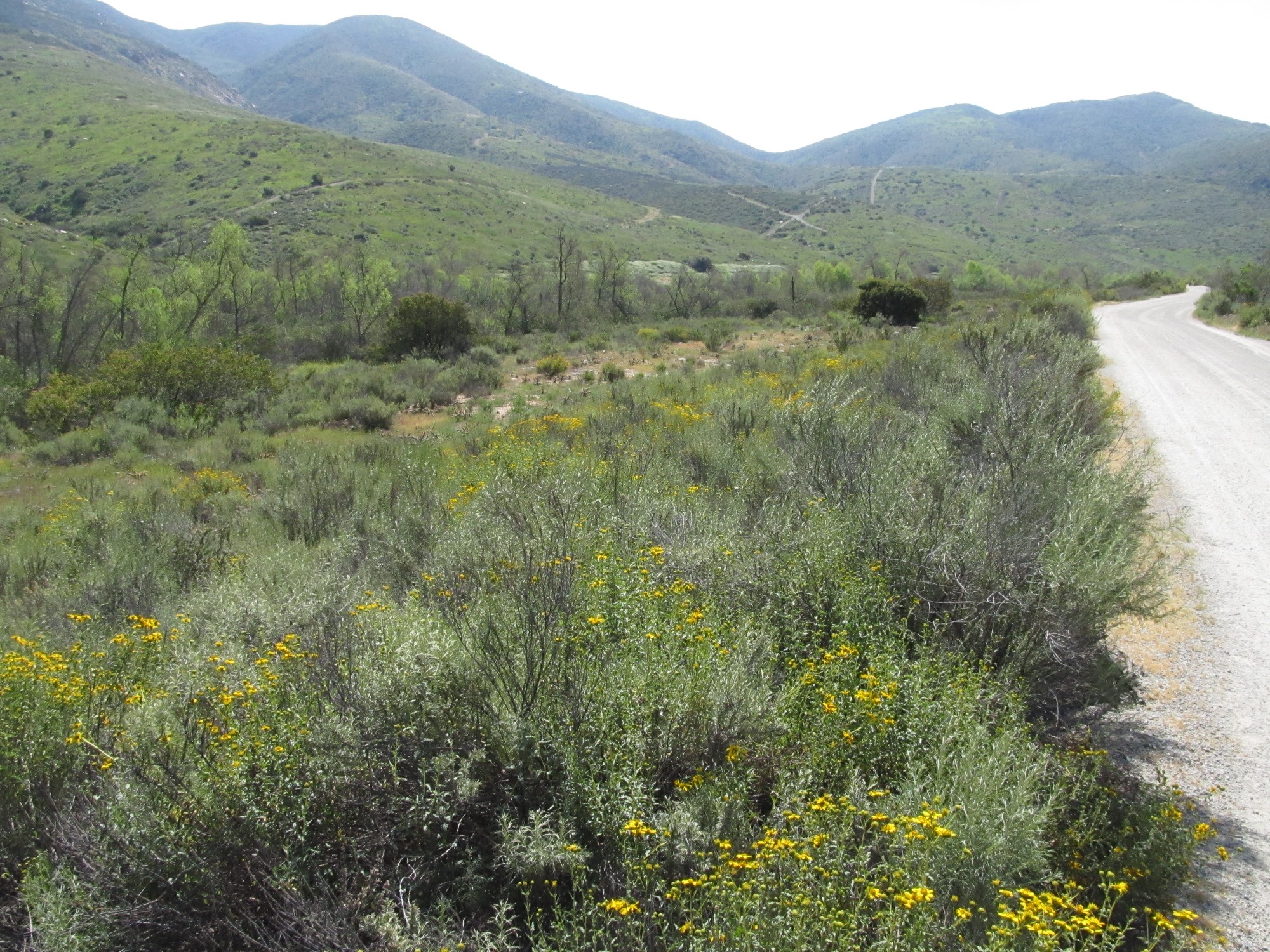Sweetwater Res QCB surveys