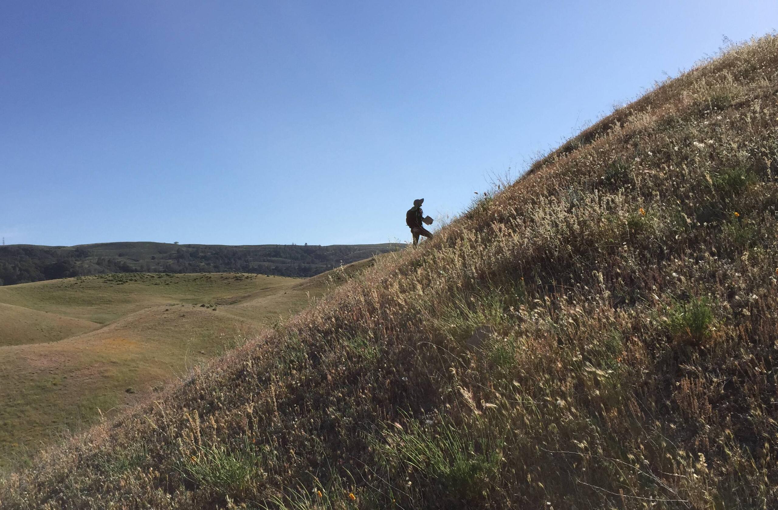 Tejon Ranch069
