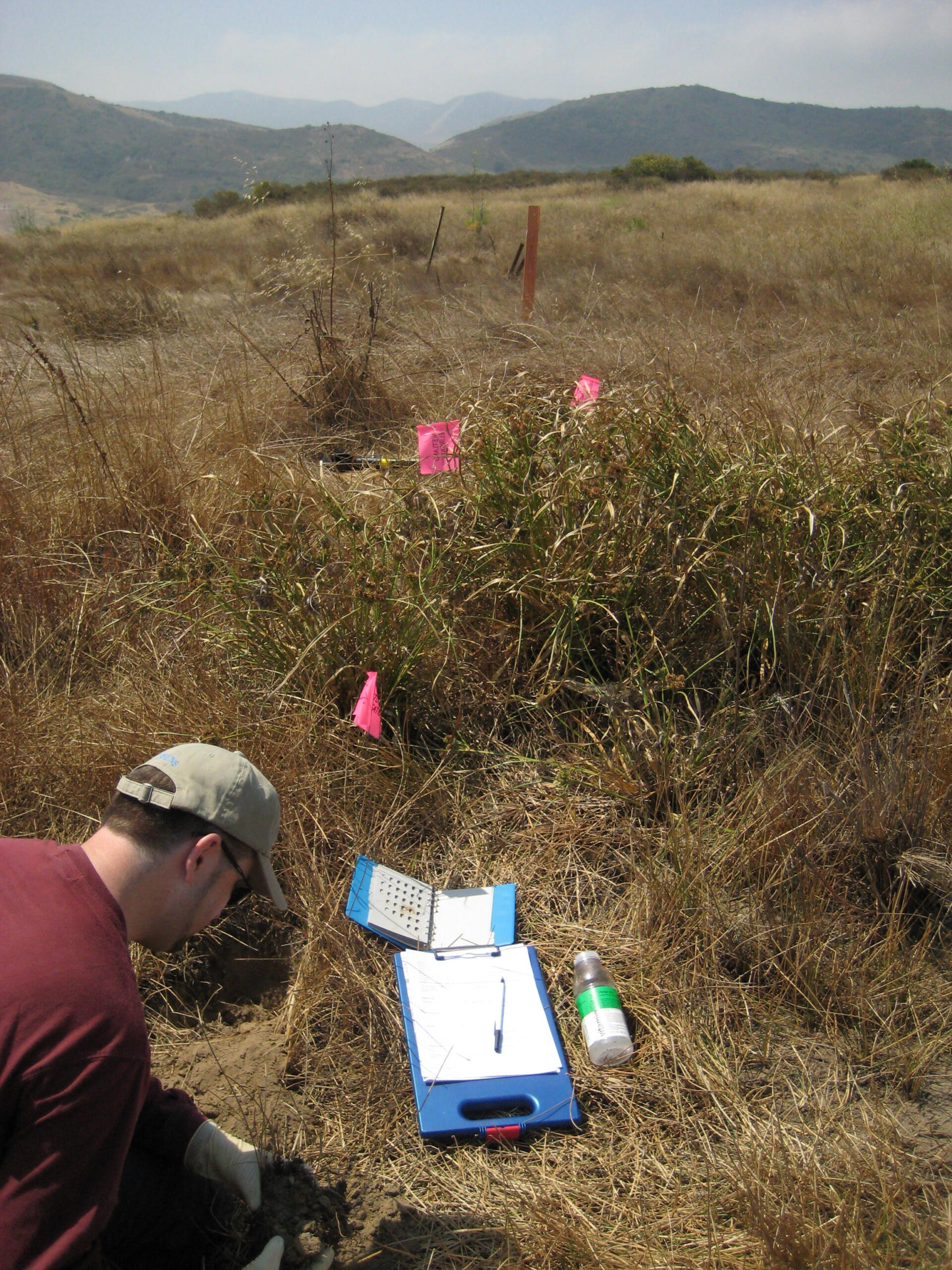 Wetland delineations Camp Pendleton