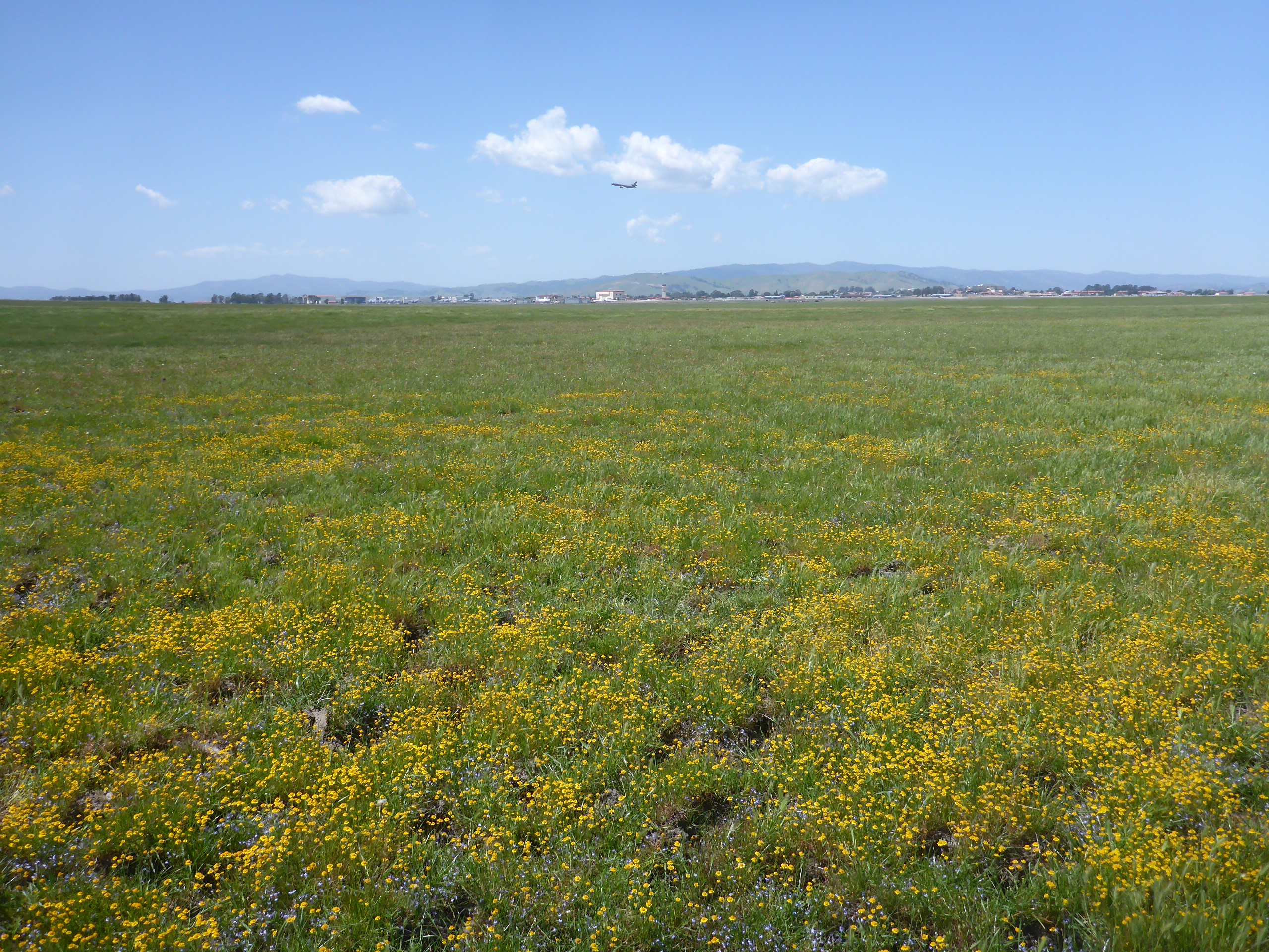 Wilcox Ranch